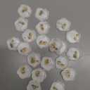 Qilery 50 Pcs Wax Seal Stickers Babys Breath Dried Floral Envelopes Seals Stickers Bulk for Wedding Invitation Bridal Shower Birthday Party Letter Greeting Cards Gift Wrapping, Self Adhesive (White)