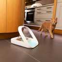 Sure Petcare -SureFlap - SureFeed - Microchip Pet Feeder - Selective-Automatic Pet Feeder Makes Meal Times Stress-Free, Suitable for Both Wet and Dry Food - MPF001