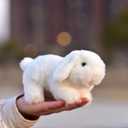 Simulated White Rabbit Plush Toy Realistic Rabbit Doll Children's Day Gift Gift