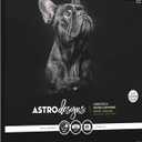 Astrodesigns Crafting Cardstock, 12" x 12", 65 lb/176 gsm, Very Black, 60 Sheets (91523)