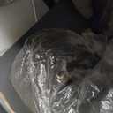 Zafferano, Poldina L Lamp, Rechargeable Cordless Floor Lamp with Touch Controls, Suitable for Indoor and Outdoor, Dimmer, 2200-3000 K, Adjustable Height 20.4-48 Inches, Dark Grey Color