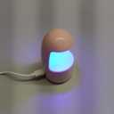 GAOY Mini UV Light for Gel Nails, Small Nail Cure Light, Eggshell LED Nail Lamp, USB Nail Dryer for Fast Curing, Pink