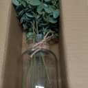 Zheart Fake Eucalyptus Stems in Glass Vase with Faux Water,14" Artificial Plants Eucalyptus Leaves for Shelf Desk Bathroom Farmhouse Room Coffee Table Home Decor (Sage Green)