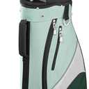 WILSON Golf Profile SGI Women's Complete Golf Set 10 Piece — Regular - Carry, Right Hand, Stand Bag, Driver, #5 Fairway Wood, #5 Hybrid Irons: #6,7,8,9, Pitching Wedge, Sand Wedge Putter