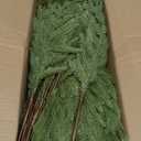 15 Pcs Christmas Norfolk Pine Branches, 19" Extra Length Fake Greenery Norfolk Pine Stems Sprigs, Artificial Xmas Branches Plants Pines Needles for DIY Craft Garland Home Garden Decor