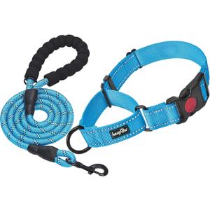 haapaw 2 Packs Martingale Dog Collar with Quick Release Buckle Reflective Dog Training Collars for Small Medium Large Dogs (L-Martingale collar, blue, Martingale Collar+Leash)