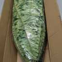 50" Artificial Boston Ferns, Fake Bush Plants, Large Faux Ferns with 96 Fronds for Outdoors Home Decor (50" 1 Pcs)