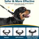 Crazy Felix No Pull Martingale Collar for Large Medium Small Dog Pitbull German Shepherd Doberman, Dog Collar Anti Pull with Buckle for Training Walking (Black, M/L-Neck 15-17", 1" Wide)