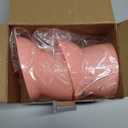 Zhehao 2 Pieces Plastic Raised Bowl Tilted 15 Degrees Elevated Cat Food and Water Bowls Set Anti Vomit Dog Kitten Food Dishes Pet for Cats and Small Dogs (Cat Ears,Peach)