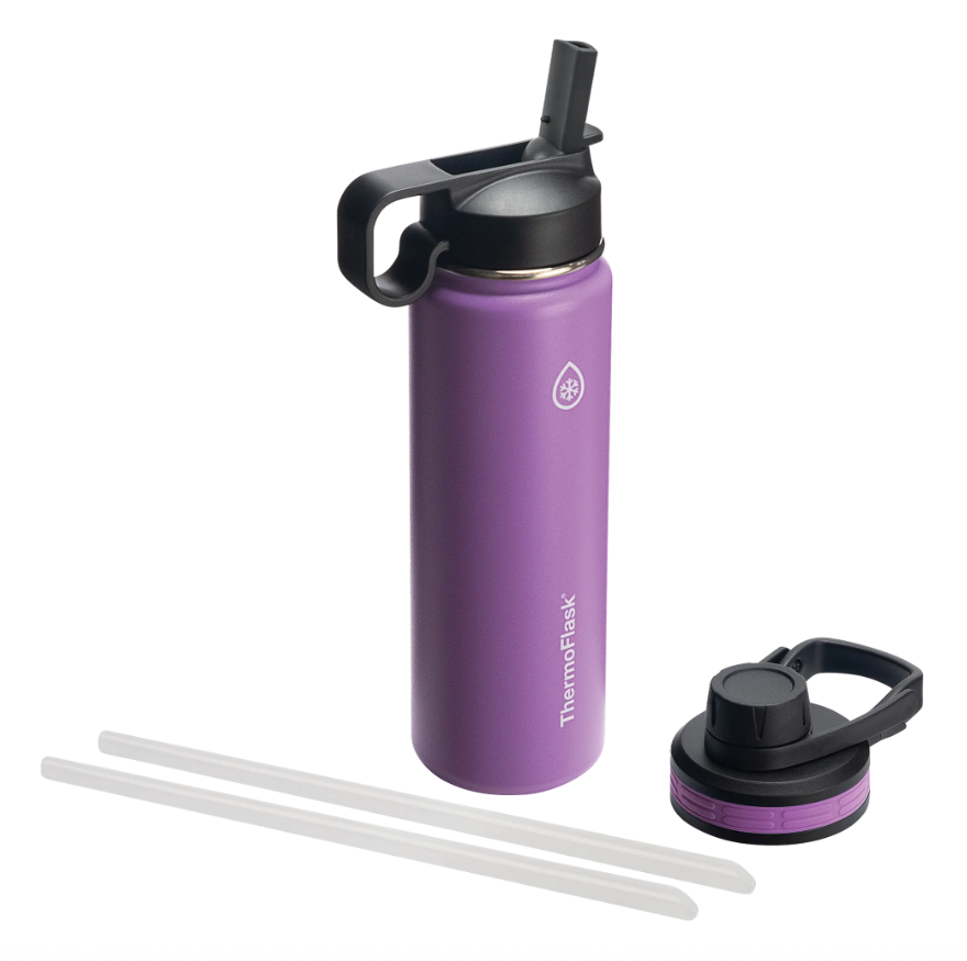 Thermoflask Combo Chug and Straw Lid, 24oz Plum