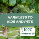 2 x Rodent Mice Repellent, Indoor Outdoor Rodent Control for Home, Cars, Sheds, Long-Lasting 30-60 Days, Pet Safe Essential Peppermint Oil Formula,Squirrel Repellent,12 PCS Covers 650 Sq. Ft