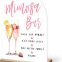 Mimosa Bar Sign, Acrylic Signs with Wood Stand for Gender Reveal Party, Champagne Sign Bubbly Bar, Acrylic Decor with Holder for Baby Shower Party, 12