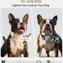 Jugbow Shock Collar for Small Dogs - 4200FT Dog Training Collar with Remote for 5-30lbs Mini Small Dogs, IPX8-Waterproof Rechargeable E-Collar with Beep (1-9), Vibration(1-3), Safe Shock(0-16)