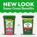 Greenies Cat Treats, Feline Veterinarian-Recommended Adult Natural Dental Cat Treats, Savory Salmon Flavor, 21 oz. Tub (EXP 11/30/27)