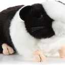 7" Cuddly Soft Plush Realistic Guinea Pig Stuffed Animals Toy Doll, Black Hamster Plushie Toys Best Birthday Christmas Anniversary Fiesta Party Classroom Prizes Gifts for Adults Kids Baby Toys