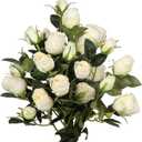 DILATATA Artificial Rose Silk Flowers 21" Long Fake Rose Flower Bushes for Wedding Decor Home Decoration Faux Roses Decor- Fake Cream Rose with Stem -3pcs Cream Flower