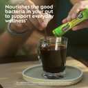 Benefiber On The Go Prebiotic Fiber Supplement Powder for Digestive Health, Daily Powder, Unflavored Stick Packs - 36 Sticks (Pack of 2)