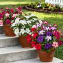 19 Inch Artificial Fake Flowers for Outdoor,4 Pcs Faux Silk Petunias Spring Flowers for Outside for Indoor Porch Planter Front Door Garden Patio Window Box Home Decor