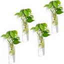 4 Pack Glass Planters, Clear, 5.9 in H x 1.85 in D, Suitable for Most Water Plants, Perfect for DIY Propagation Station, Easy to Install, Elegant and Functional