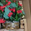 Nearly Natural 6857-RD Geranium Hanging Basket UV Resistant, Red,10.125'' x 29'' x 10.125''