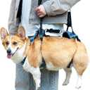 Dog Lift Harness, Dog Lift Sling Carrier with Handle & Shoulder Sling, Support Harness for Rear Back Legs Helps,Disabled,Arthritis,Joint Injuries,Paralysis Up StairsBlue,Large