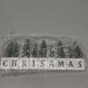 LED Lighted Christmas Tree Tabletop Decoration, Rustic Wooden Christmas Decor with Mini Trees, Xmas Sign Block Table Farmhouse Winter Holiday Centerpiece for Indoor Mantel, Shelf (Green)