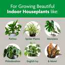 Miracle-Gro Indoor Potting Mix, Blended for a Variety of Houseplants, Feeds for up to 6 Months, 16 qt., 2-Pack (EXP 01/01/28)