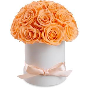 Preserved Roses Dome in a Box, Forever Real Roses Decor, Eternal Flowers for Delivery Prime, Best Gifts Birthday, Wedding, Anniversary, Mother's Day, Christmas for Her, 18-Pieces (Champagne)