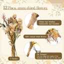 Layhit 12 Pcs Boho Dried Flower Bouquet Mini Wedding Handmade Dry Flowers Decor for Vase Crafts DIY Photo Boutonniere for Men Floral Plant for Bridesmaid Gift Birthday Decor(Bright)