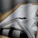 Away Large Checked Luggage, 29 Inch Hardside Suitcase with Spinner Wheels, Lightweight & Durable, TSA Lock, Cloud Gray