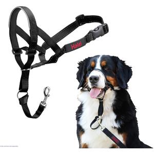 Halti Headcollar - Stop Your Dog Pulling on the Leash. Adjustable, Reflective and Lightweight, with Padded Nose Band. Dog Training Anti-Pull Collar for Large Dogs (Size 4, Black)