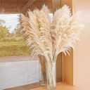 Dried flowers, reeds and grasses bouquet, suitable for home decoration, wedding center decoration, autumn flower arrangement (Luxury 40-inch 10-stem Natural Pampas Grass)