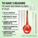 Self Watering Globes, 6 Pack Plant Watering Globes, Glass Automatic Auto Plant Water Bulbs for Indoor & Outdoor Plants,Multicolor Medium, for Daily UseVacation Hydration Devices,watering Can Outdoor