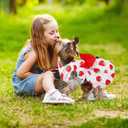 5 Pack Girl Dog Clothes Floral Summer Puppy Princess Bowknot Dog Dresses for Small Dogs Girl Clothes Cute Outfits for Boys Girls Pets Cats Dogs XL