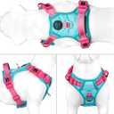 PHOEPET No Pull Dog Harness, Unique Colors Reflective Adjustable Dog Vest, with Soft Training Handle Metal Clips for Small Medium Large Dogs (Mint Green Base & Pink Straps, XS)