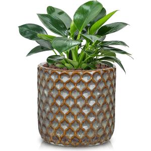Oairse Small Ceramic Pots for Plants, 5.3 inch Brown Plant Pot Indoor with Drainage Ceramic Planters for Indoor Plants Succulent Planters Decorative Flower Pots for Cactus, Snake Plant, Herb