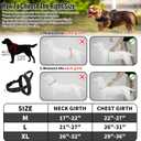 Arblina No Pull Dog Harness with Soft Mesh Padded, Fully Adjustable Walking Harness with Handle for Dogs, Reflective Front Clip Harness for Training and Hiking, Black, XL