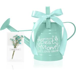 Gifts for Mom, Gardening Gifts for Women, Best Gifts for Mom from Daughter Son,Metal Watering Can for Indoor Plants, 1/2 Gallon, Mint Green