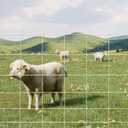 9GA Cattle Farm Fence, 4 ft x 164 ft Galvanized Goat Deer Fence, Heavy Zinc Coating Hog Wire Fencing for Farm Livestock Animals Protection (4 ft x 164 ft)