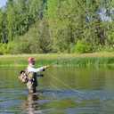 The Fly Fishing Place Black Humpy Classic Trout Dry Fly Fishing Flies - Set of 6 Flies Size 12