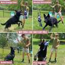 Flirt Pole for Dogs Heavy Duty - Multi-Sensory Tough Chase Toy for Medium & Large Breeds Extra Strong 35" Dog Teaser Wand for Backyard Play, Training and Interactive Fun (Raccoon)
