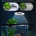 Pawfly 2 Gallon Fish Tank, Small Aquarium Kit, Betta Fish Tank Starter Kit with 6 W LED Light, 65 GPH Filter, Siphon Vacuum Water Changer & Basket, Aquarium for Betta, Shrim, or Small Fishes