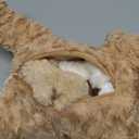 PixieCrush Adopt Me Dog Stuffed Animals for Girls Ages 3 and Up - Plush Labradoodle Dog Pillow with 4 Surprise Puppies Inside - Soft Puppy Toys for Kids - Cute Dogs Plush Set for Imaginative Play