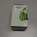 LePe Crushed Fire Glass, Translucent Broken GlassDecorative for Resin Art, Fire Pits, Potted Plants, Garden and Indoor Use, 3-6mm Fire Pit Glass, 1 Pound in Jar(Grey) (Gray)