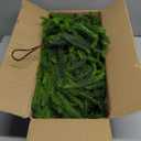 Artificial Norfolk Pine Garlands, 2 Pcs 6 Ft Real Touch Garlands, Winter Green Greenery Christmas Garlands for Mantle, Table, Wall, Outdoor, Indoor Christmas Decorations (6 FT, 2)