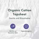 Rael Disposable Underwear for Women, Organic Cotton Cover - Postpartum Essentials, Leak Locker, Unscented, Maximum Coverage (Size L-XL, 20 Count)