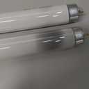 F15T8 18 Inch 15W T8 Fluorescent Replacement Tube Bulb Daylight 6500K Medium Bi-Pin G13 Base, 2 Count