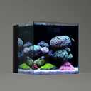 LANDEN 35C 7.2 Gallon Ultra Clear All Glass Rimless Low Iron Aquarium Tank with Rear Filtration Chamber(Pump Included) for Salt and Fresh Water.13.8''Wx13.8''Dx13.8''H 35cm Cube in 6mm Thickness