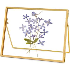 REDHUGO Glass Pressed Flower Frame Handmade, Glass Floating Picture Frames Tabletop Brass Photo Frame for DIY Dried Flowers Home Plant Specimen, Rectangle Horizontal 57 inches,Gold (FRAME ONLY)