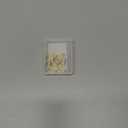 10Pcs Oval Clasp Carabiner Necklace Clasps and Closures Spring Ring Clasp Pearl Necklace Enhancer Connector for Jewelry Finding Necklace Bracelet Making (Small( 0.55*0.32*0.08in))